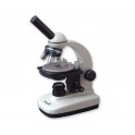 Microscopio 600x petrografía