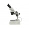 Estereomicroscopio doble ocular 40x