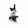 Microscopio triocular 400x