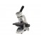 Microscopio escolar biológico 400x con iluminación LED