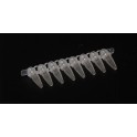 Tira de 8 microtubos PCR x100