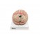 Modelo anatómico cerebro humano 9 partes